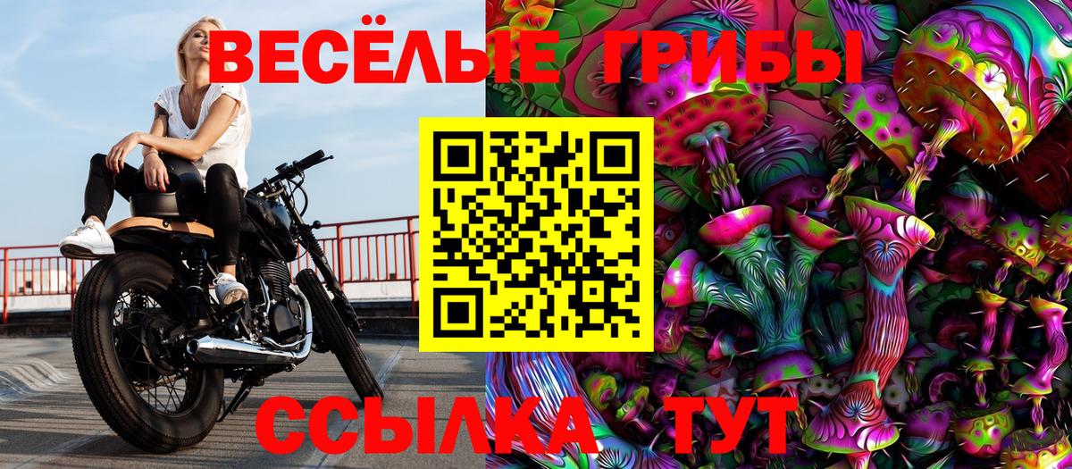Галлюциногенные грибы мухоморы Тосно